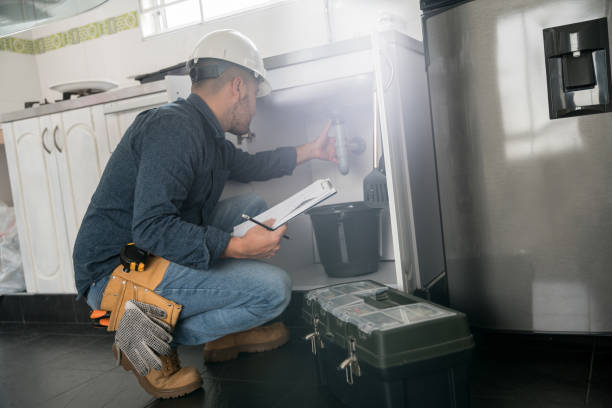 Best Clogged Drain Plumber  in Dysart, IA
